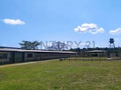 Finca en Valles del Tuy de 6,45 hectáreas, ideal para la cría de caballos TC