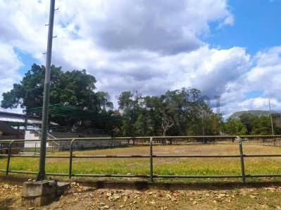 Finca en Valles del Tuy de 6,45 hectáreas, ideal para la cría de caballos TC - 3