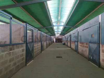 Finca en Valles del Tuy de 6,45 hectáreas, ideal para la cría de caballos TC - 4