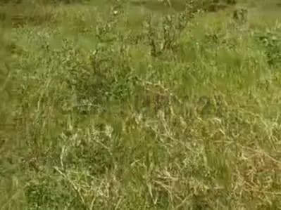 terreno en venta en tucape