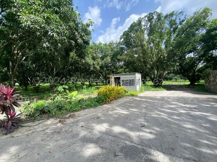 Terreno (Residencial) en Venta en Araure, Portuguesa - 14