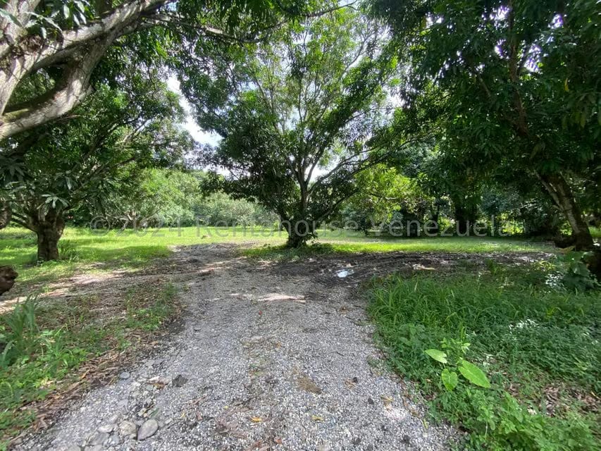 Terreno (Residencial) en Venta en Araure, Portuguesa - 17