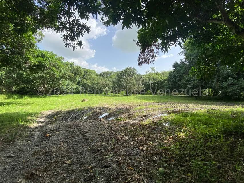 Terreno (Residencial) en Venta en Araure, Portuguesa - 18