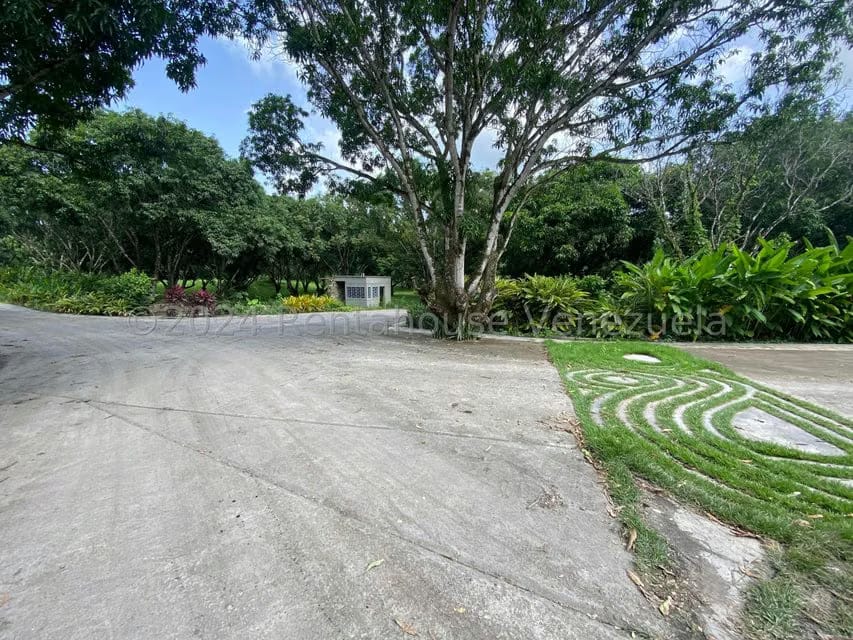 Terreno (Residencial) en Venta en Araure, Portuguesa - 10