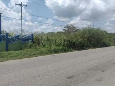 EN VENTA FABULOSO TERRENO EN HIGUEROTE - 2