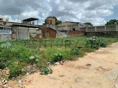 En Venta Terreno - 5