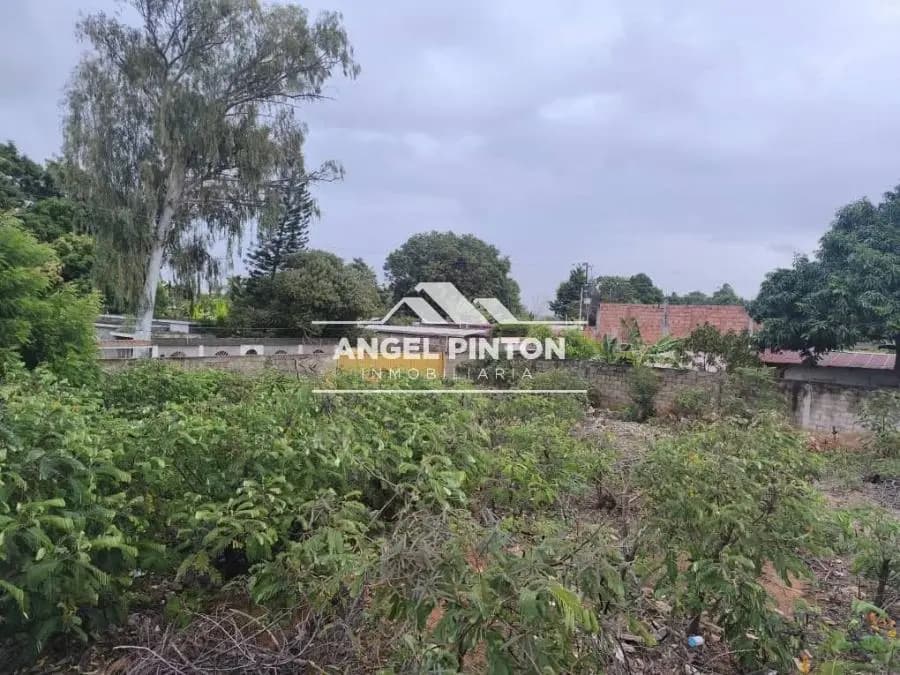 Terreno en Venta en San Francisco - 2