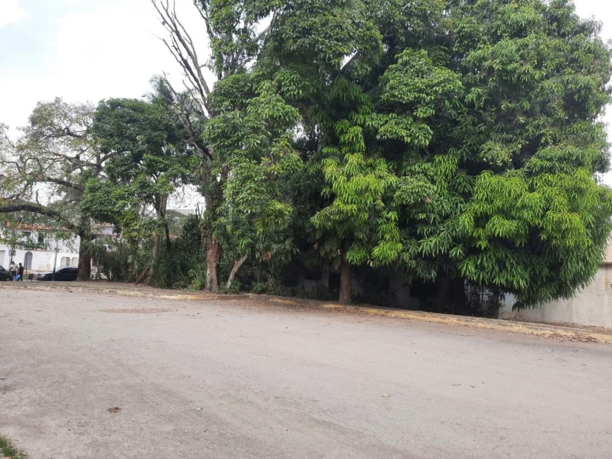 Venta de Casa a Remodelar El Viñedo - 12