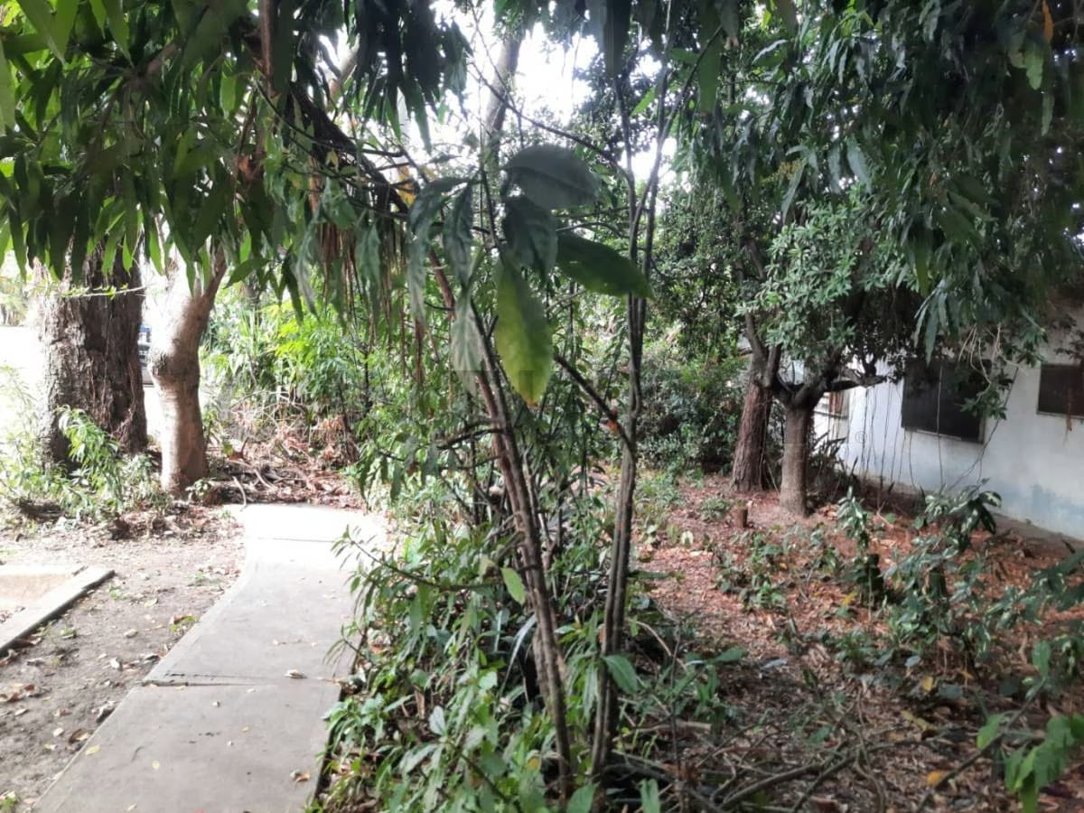 Venta de terreno - 6