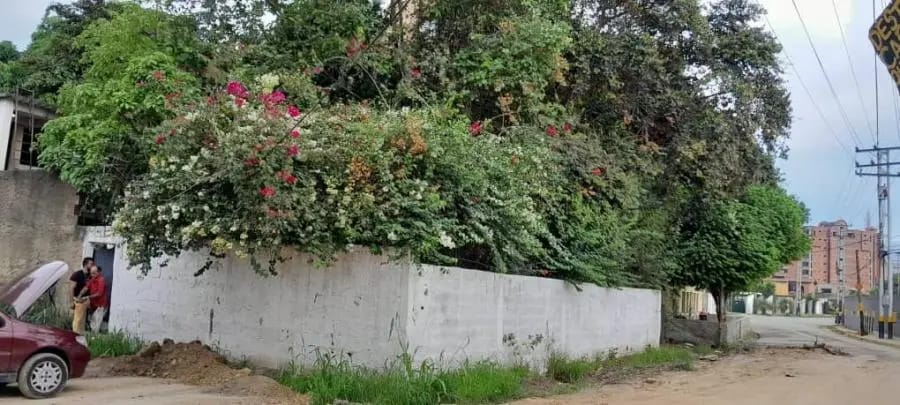 Terreno en Venta en Naguanagua - 8