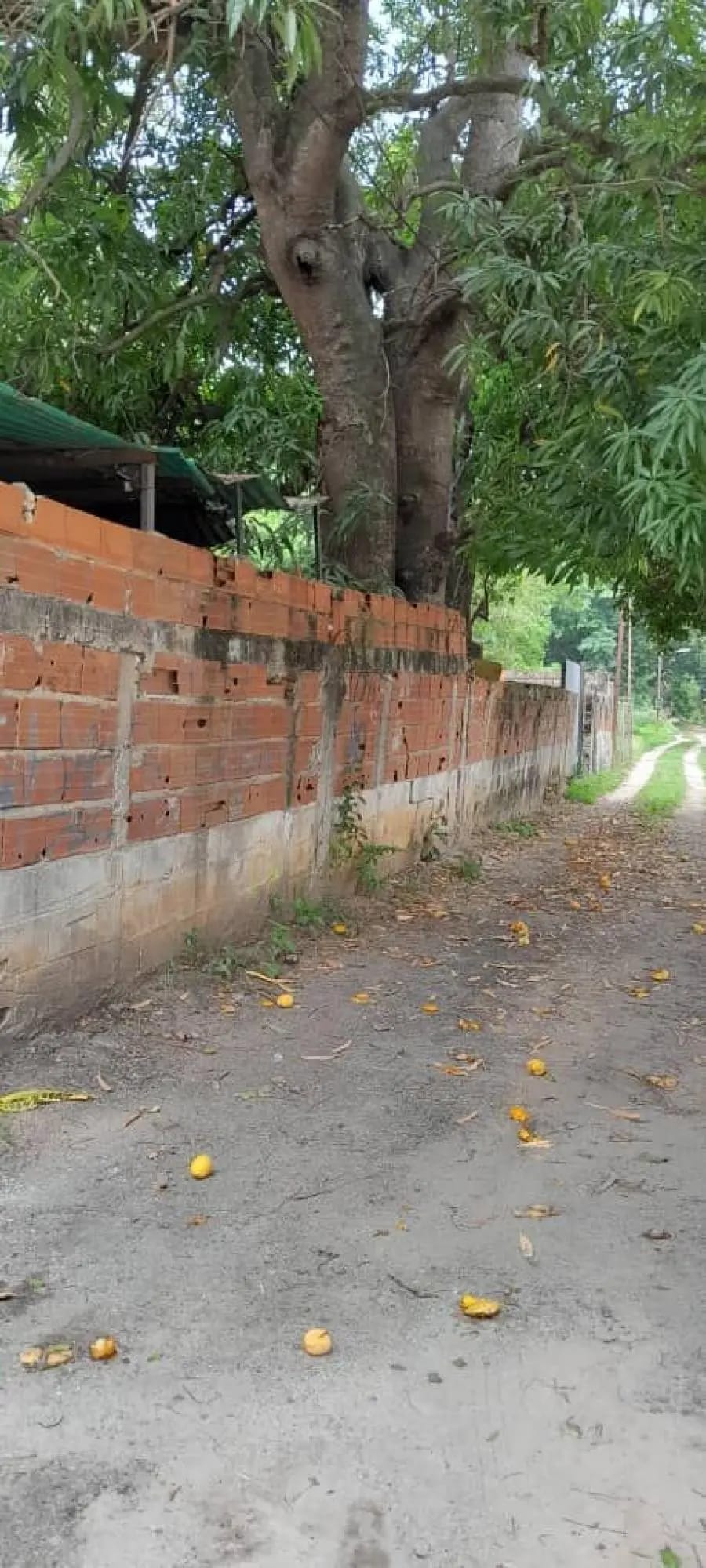 Terreno en Venta en Naguanagua - 9