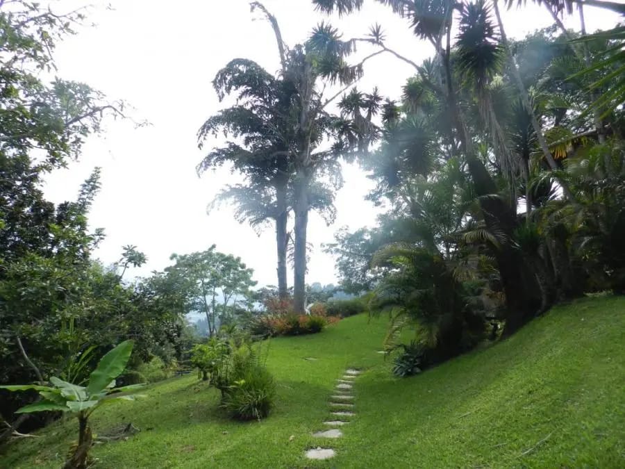 Casa en Venta en Alto Hatillo Caracas - 19