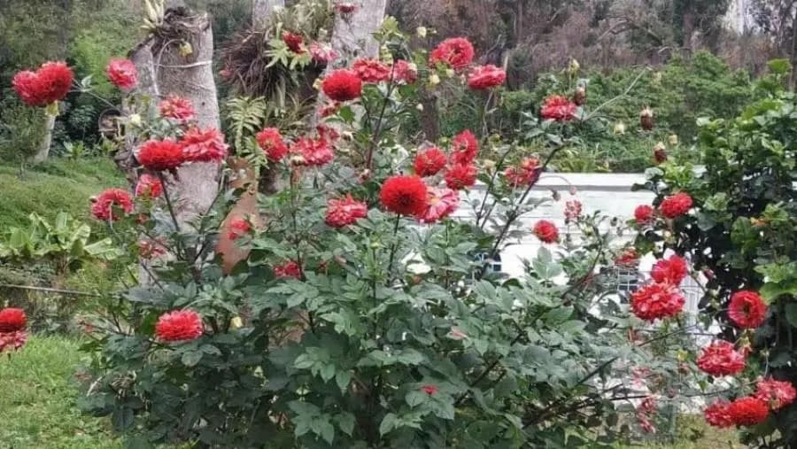 Casa en Venta en Club de Campo San Antonio de Los Altos - 14