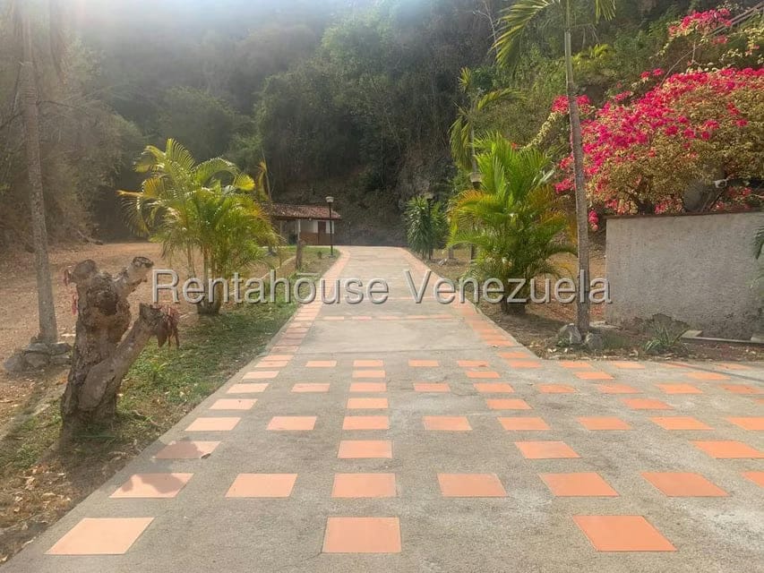 Apartamento (Duplex) en Alquiler en Mampote, Miranda - 3