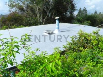 casa estilo colonia tovar con chimenea - 3