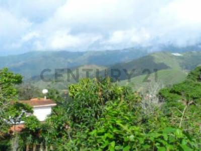 casa estilo colonia tovar con chimenea - 10