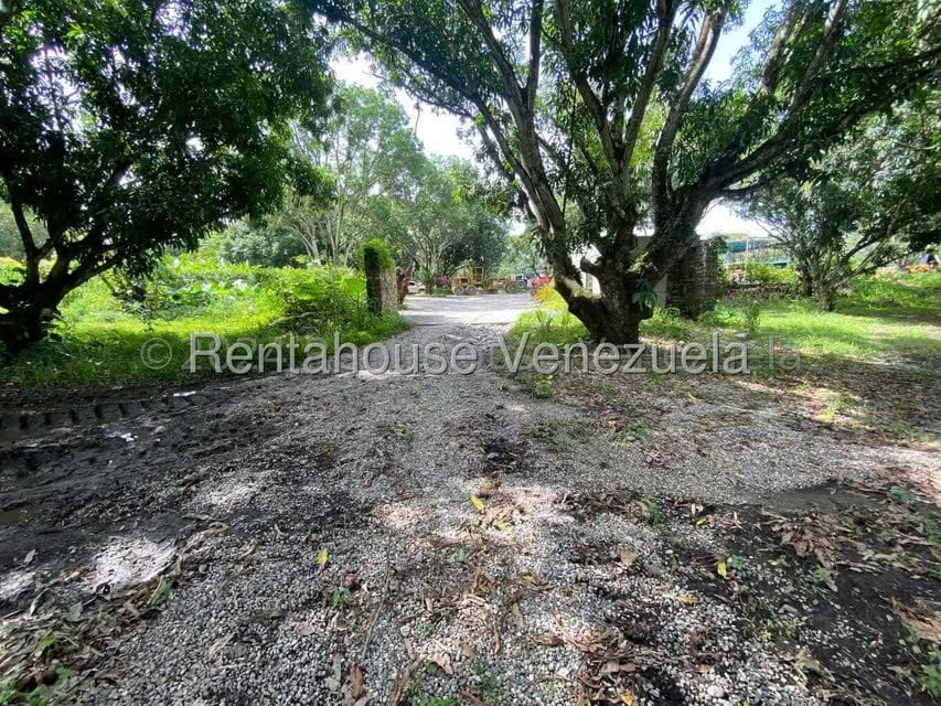 Terreno (Comercial) en Venta en Araure, Portuguesa - 24