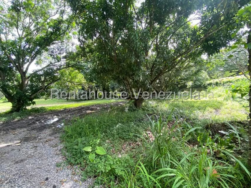 Terreno (Comercial) en Venta en Araure, Portuguesa - 25