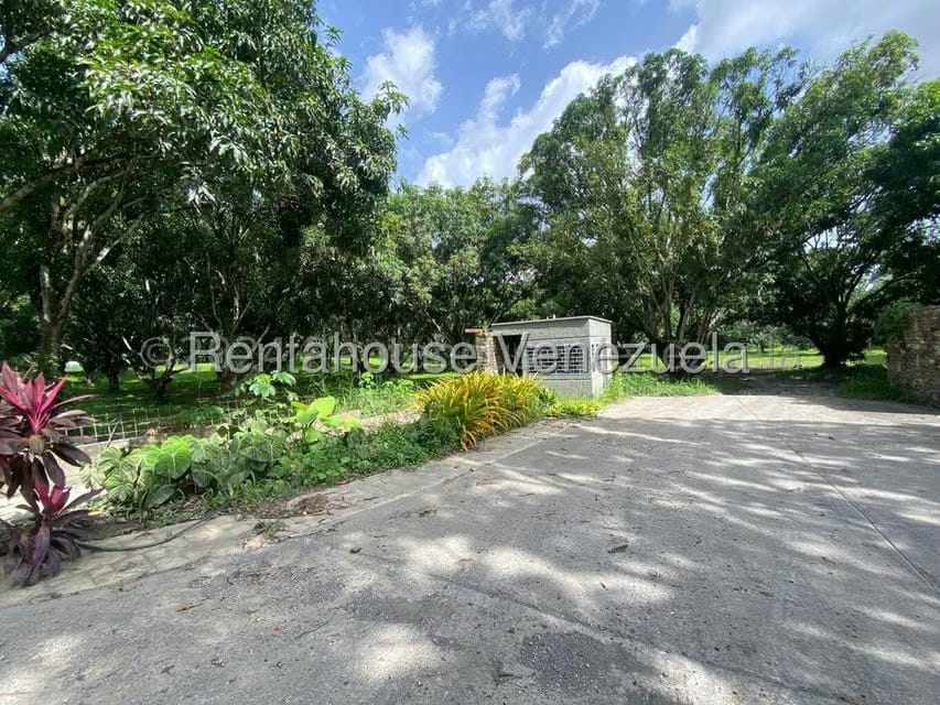 Terreno (Comercial) en Venta en Araure, Portuguesa - 6