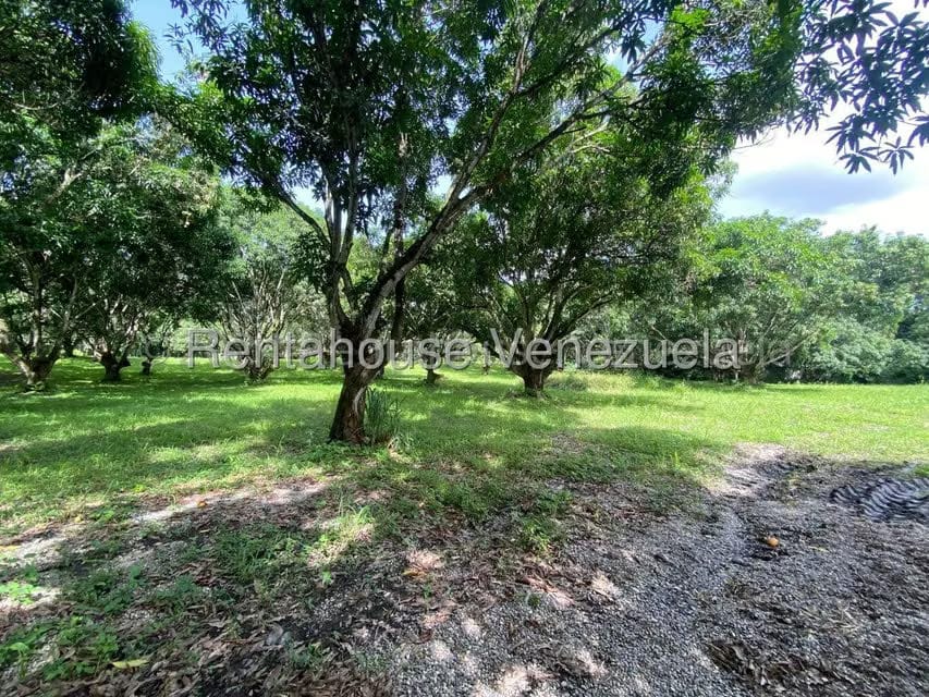 Terreno (Comercial) en Venta en Araure, Portuguesa - 8