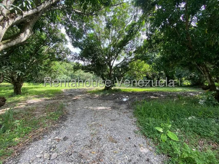 Terreno (Comercial) en Venta en Araure, Portuguesa - 9
