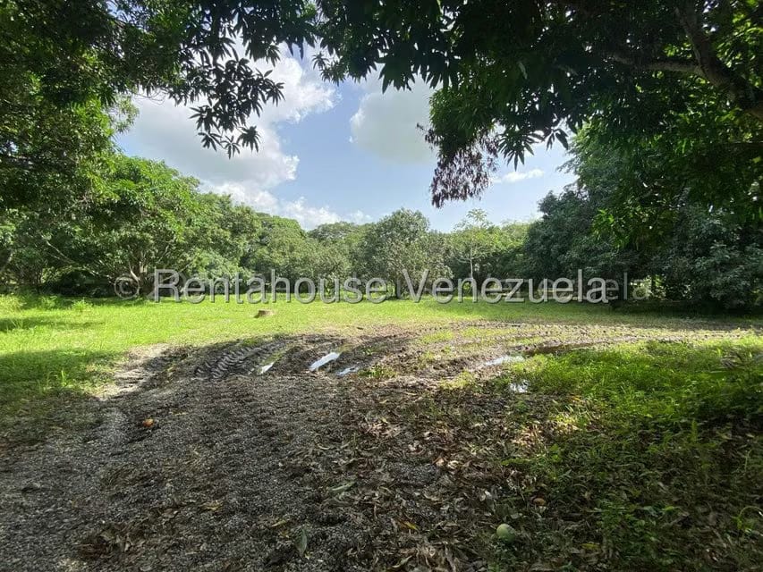 Terreno (Comercial) en Venta en Araure, Portuguesa - 10