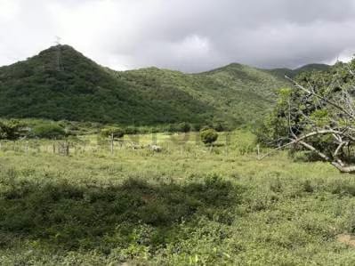 Terreno ubicado en Guatamare