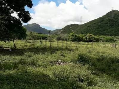 Terreno ubicado en Guatamare - 2