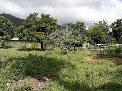 Terreno ubicado en Guatamare - 3