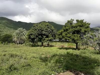 Terreno ubicado en Guatamare - 4