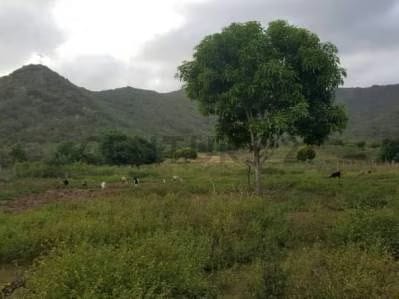 Terreno ubicado en Guatamare - 5