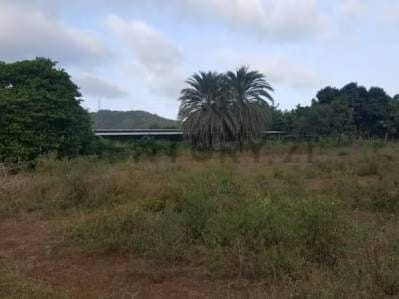 Terreno ubicado en Guatamare - 6