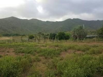 Terreno ubicado en Guatamare - 7