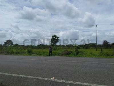 Vendo terreno en el sector de Parare