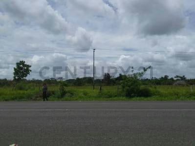 Vendo terreno en el sector de Parare - 2