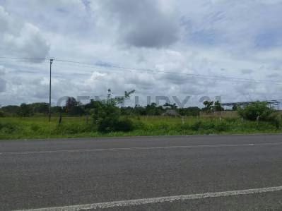 Vendo terreno en el sector de Parare - 3