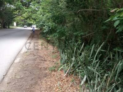 Venta de Terreno de Uso Residencial, de 1.200 M2, ubicado en la Av. 31 de Julio - 2