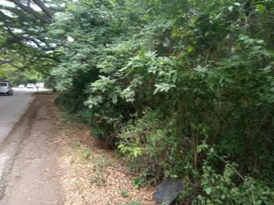 Venta de Terreno de Uso Residencial, de 1.200 M2, ubicado en la Av. 31 de Julio - 4