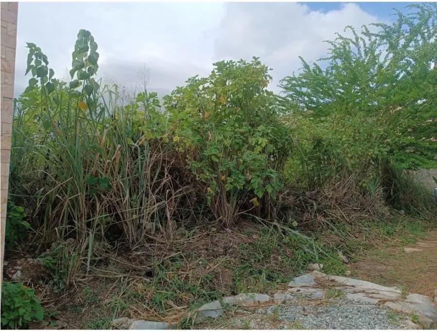 Terreno en Venta en Naguanagua Naguanagua - 12