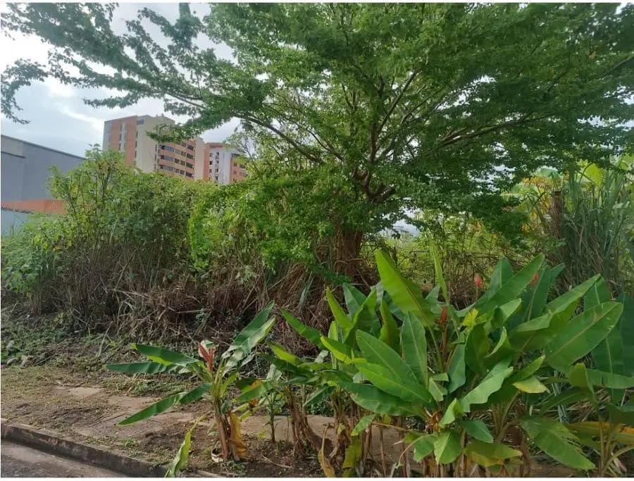 Terreno en Venta en Naguanagua Naguanagua - 13