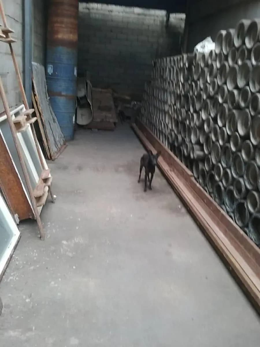 Galpon en Venta en Unare Ciudad Guayana