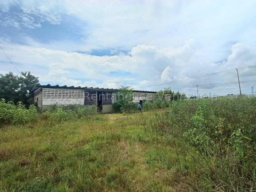 Comercial (Galpon - Deposito) en Venta en Zona Industrial, Carabobo - 52