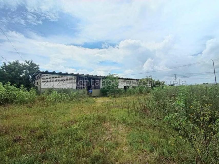 Comercial (Galpon - Deposito) en Venta en Zona Industrial, Carabobo - 55