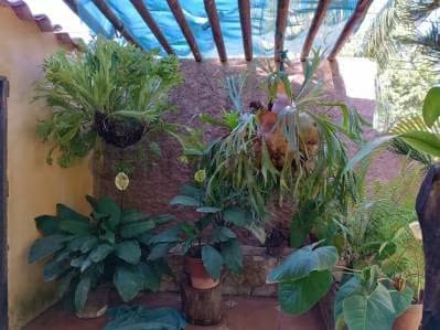 Casa Ideal Para Posada y Local Comercial - 9