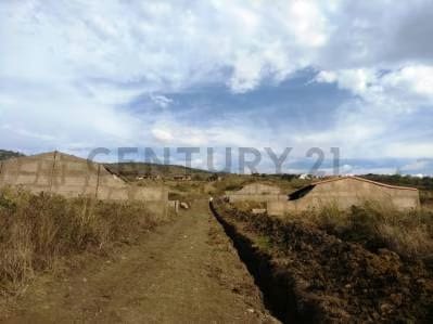 Lote de terreno dentro de conjunto en Lobatera - 2