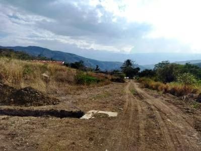 Lote de terreno dentro de conjunto en Lobatera - 4