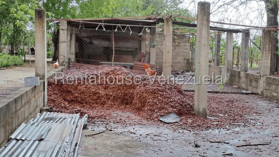 Terreno (Finca) en Venta en Centro - Guama, Yaracuy - 11