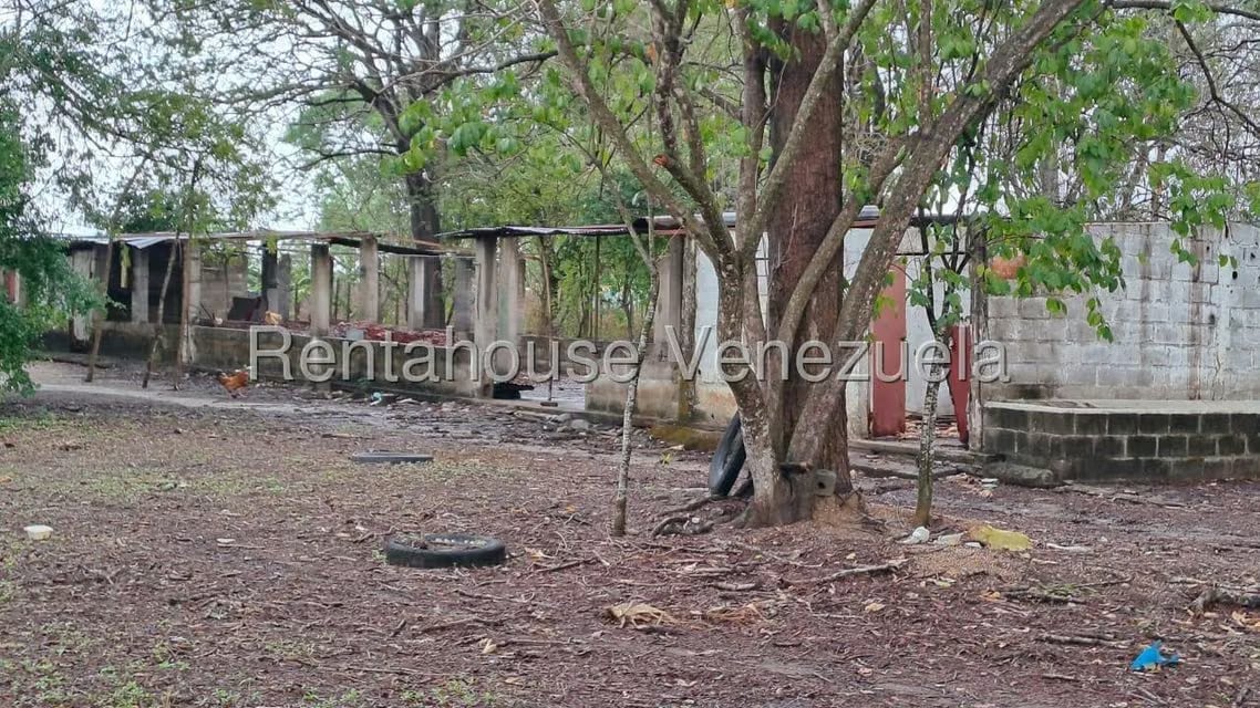 Terreno (Finca) en Venta en Centro - Guama, Yaracuy - 12
