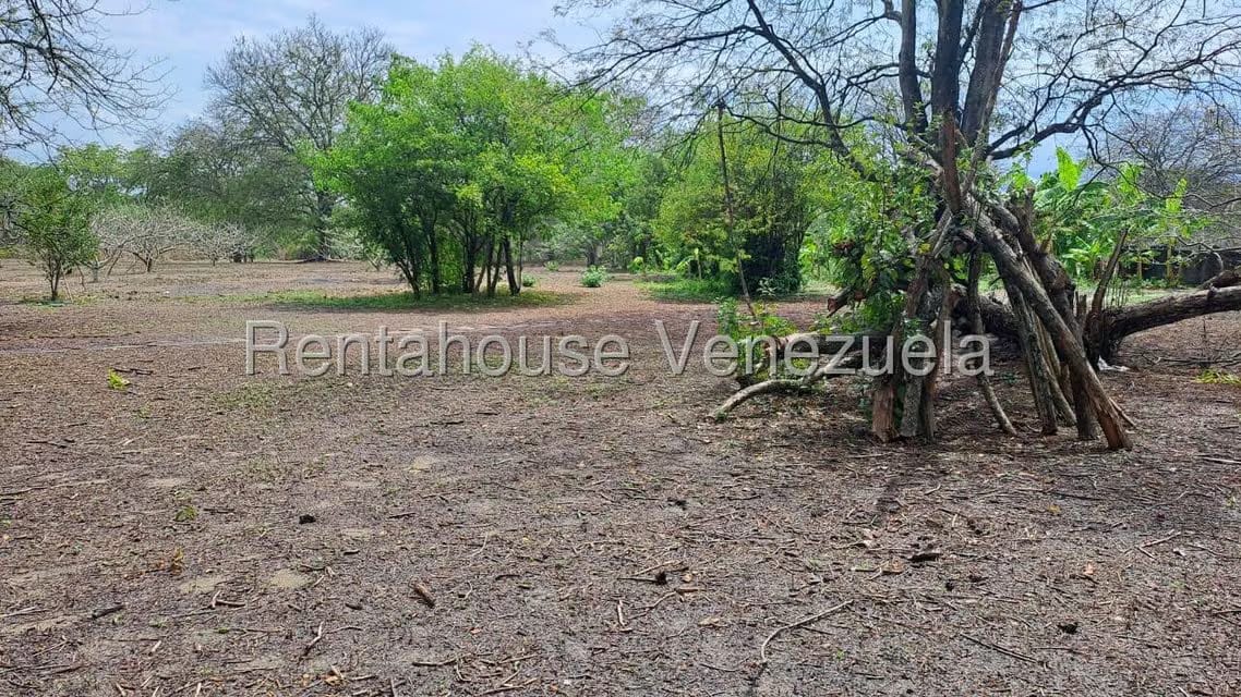 Terreno (Finca) en Venta en Centro - Guama, Yaracuy - 14