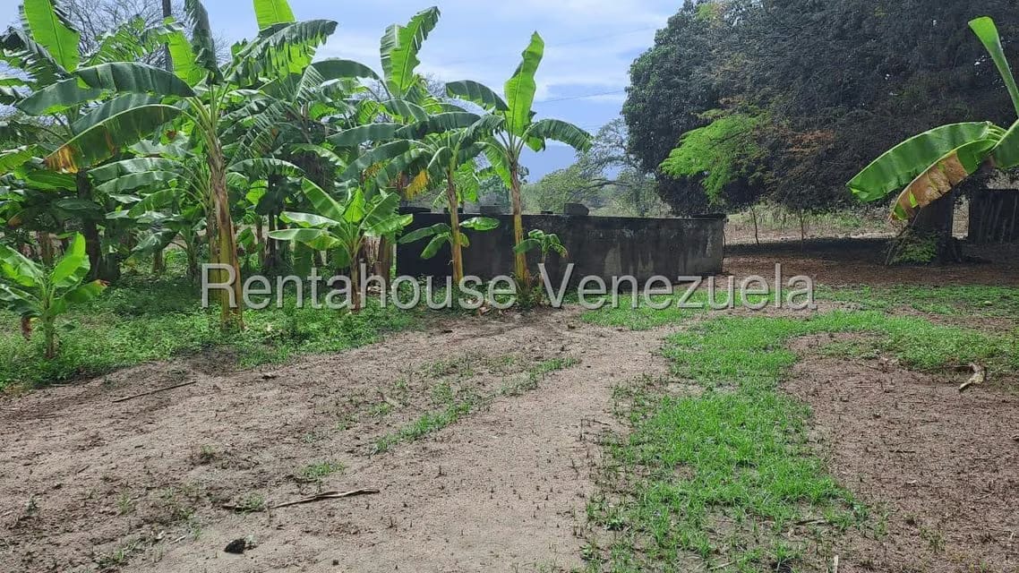 Terreno (Finca) en Venta en Centro - Guama, Yaracuy - 15